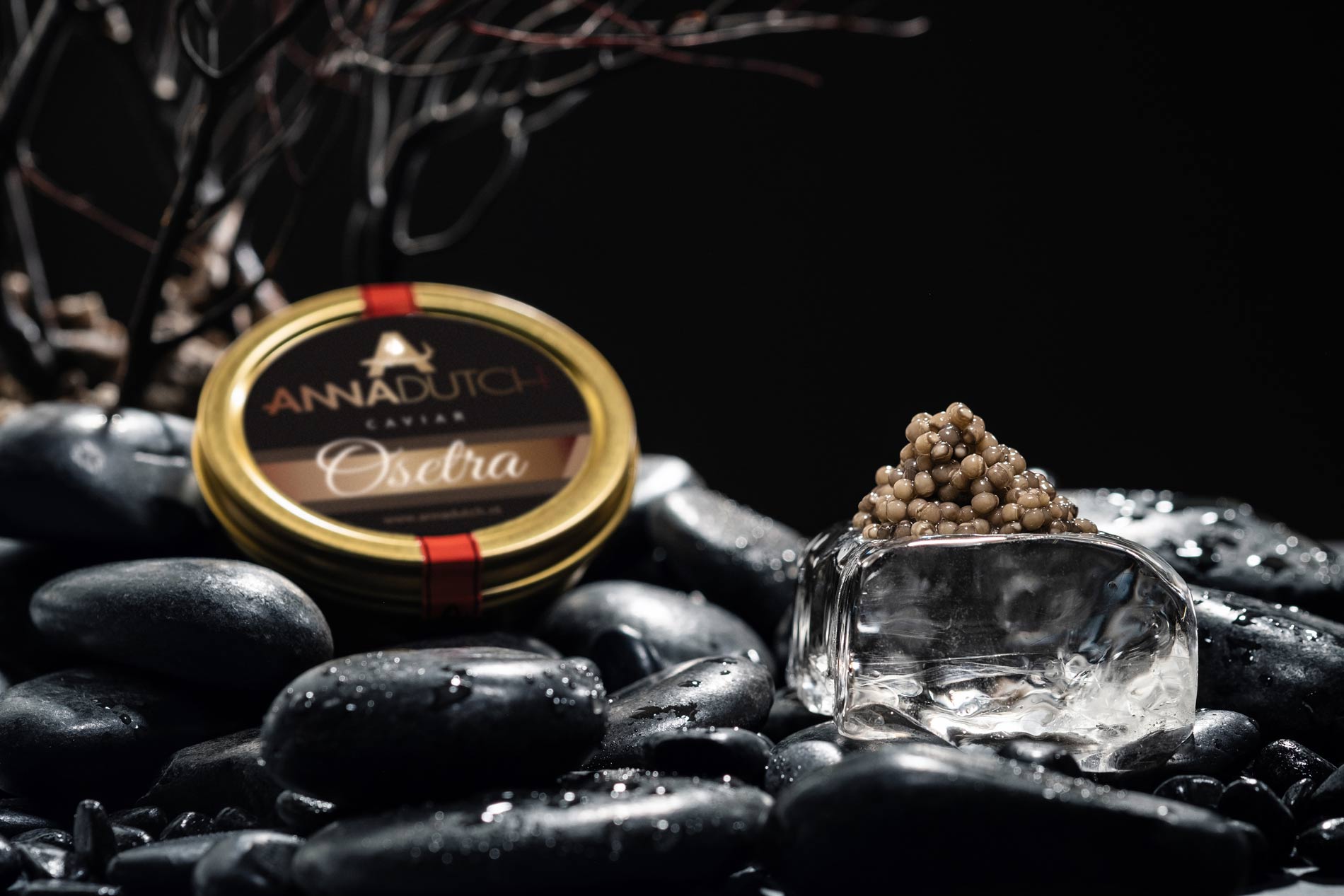 Osetra Caviar / Acipenser Gueldenstaedtii